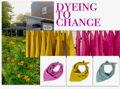 Dyeing to Change