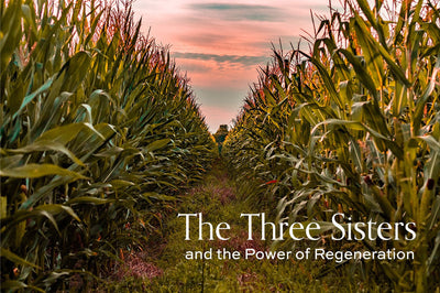 Ibulliance: The Three Sisters