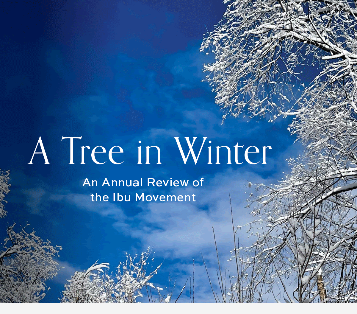 A Tree in Winter – Ibu Movement