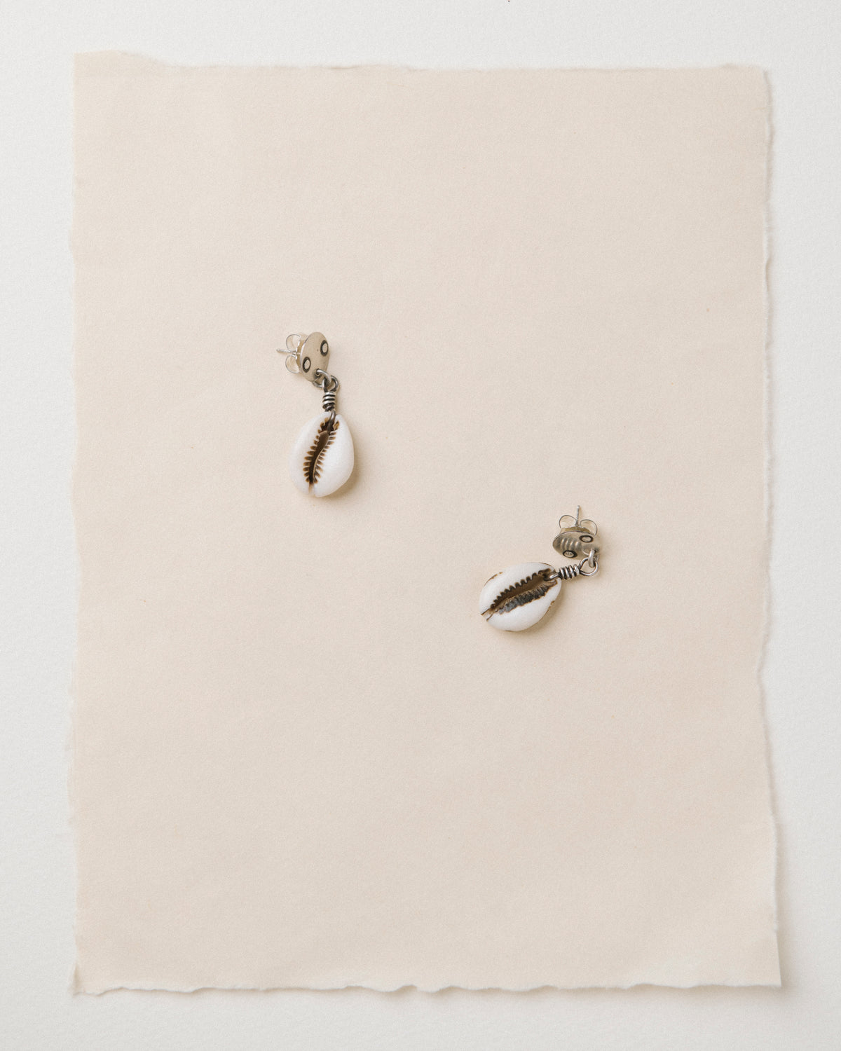 Cowrie Trade Shell Earrings